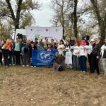 Новости партнёров: пусть шумит «Удивительный лес»!